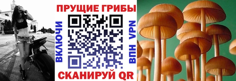 Псилоцибиновые грибы MAGIC MUSHROOMS  Пенза 