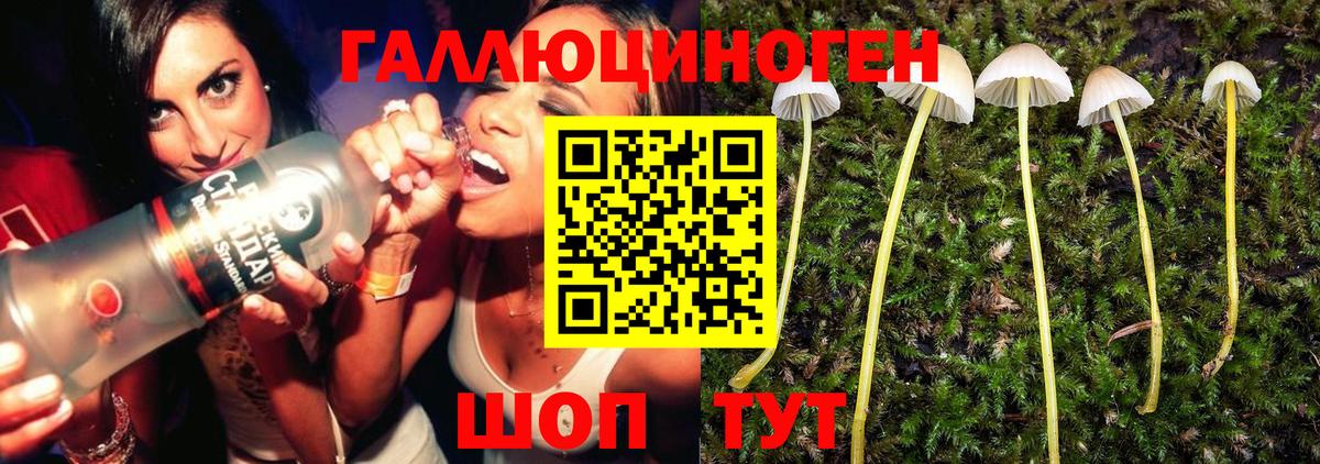 Галлюциногенные грибы мицелий Пенза