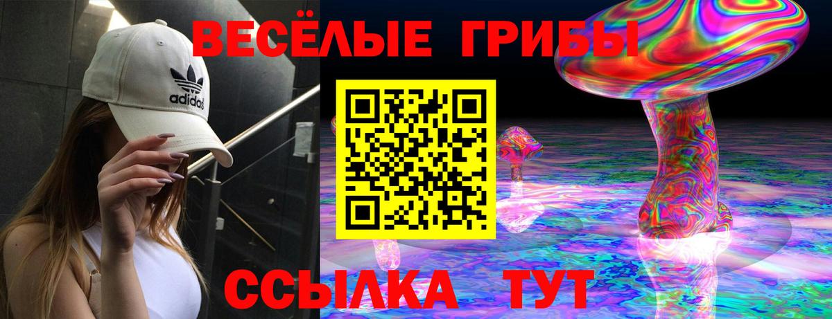 Пенза  Галлюциногенные грибы MAGIC MUSHROOMS  цены наркотик  Вход с VPN  Псилоцибиновые грибы Cubensis 